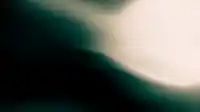 Pale cream light blooms beside deep teal shadow, soft brushed dark gradient with grainy texture, Hero Bands background