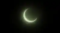A glowing pale crescent hangs in deep black, soft grainy halo softening its rim — Moss Eclipse wallpaper