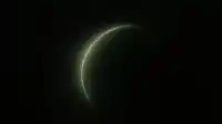 A thin pale crescent traces the edge of a dark planet, quiet olive glow on black — Moss Eclipse background